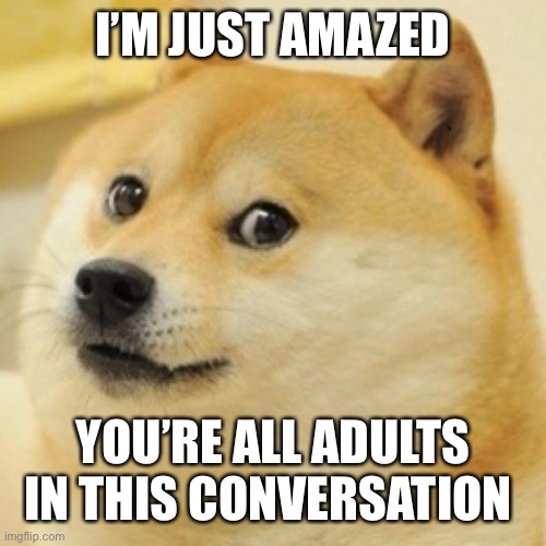 wow doge | I’M JUST AMAZED YOU’RE ALL ADULTS IN THIS CONVERSATION | image tagged in wow doge | made w/ Imgflip meme maker