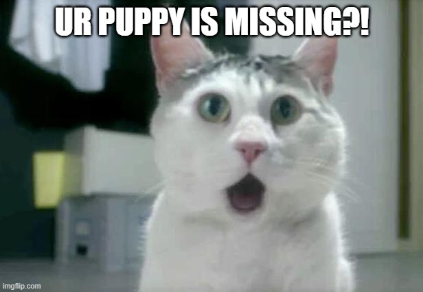 OMG Cat Meme | UR PUPPY IS MISSING?! | image tagged in memes,omg cat | made w/ Imgflip meme maker