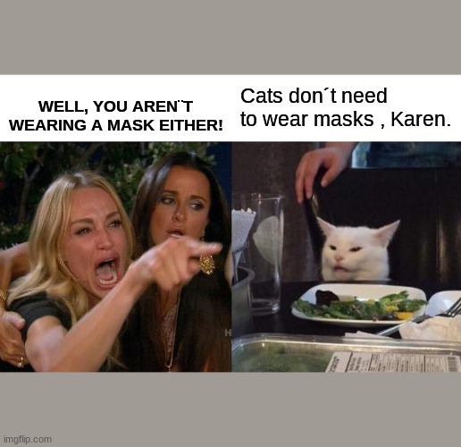Cats don´t wear masks | WELL, YOU AREN¨T WEARING A MASK EITHER! Cats don´t need to wear masks , Karen. | image tagged in memes,woman yelling at cat | made w/ Imgflip meme maker