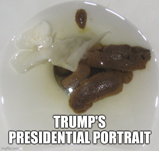 TRUMP'S PRESIDENTIAL PORTRAIT | image tagged in anti trump | made w/ Imgflip meme maker