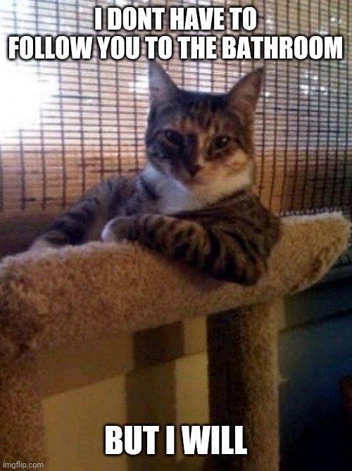Follow you.. | I DONT HAVE TO FOLLOW YOU TO THE BATHROOM; BUT I WILL | image tagged in memes,the most interesting cat in the world | made w/ Imgflip meme maker