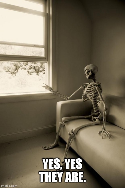 Skeleton Waiting | YES, YES THEY ARE. | image tagged in skeleton waiting | made w/ Imgflip meme maker
