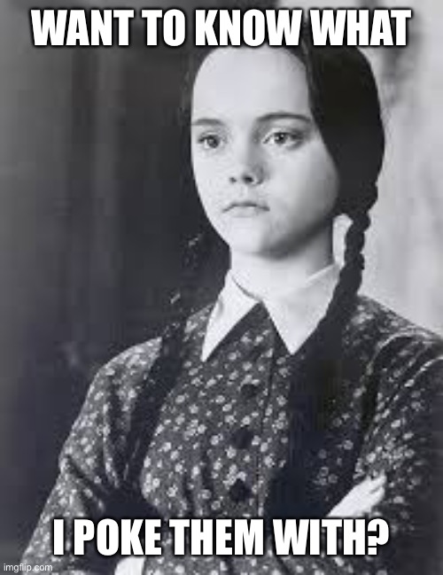 Wednesday Addams | WANT TO KNOW WHAT I POKE THEM WITH? | image tagged in wednesday addams | made w/ Imgflip meme maker