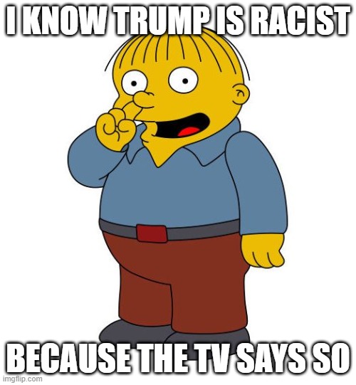 Ralph Wiggums Picking Nose | I KNOW TRUMP IS RACIST; BECAUSE THE TV SAYS SO | image tagged in ralph wiggums picking nose | made w/ Imgflip meme maker