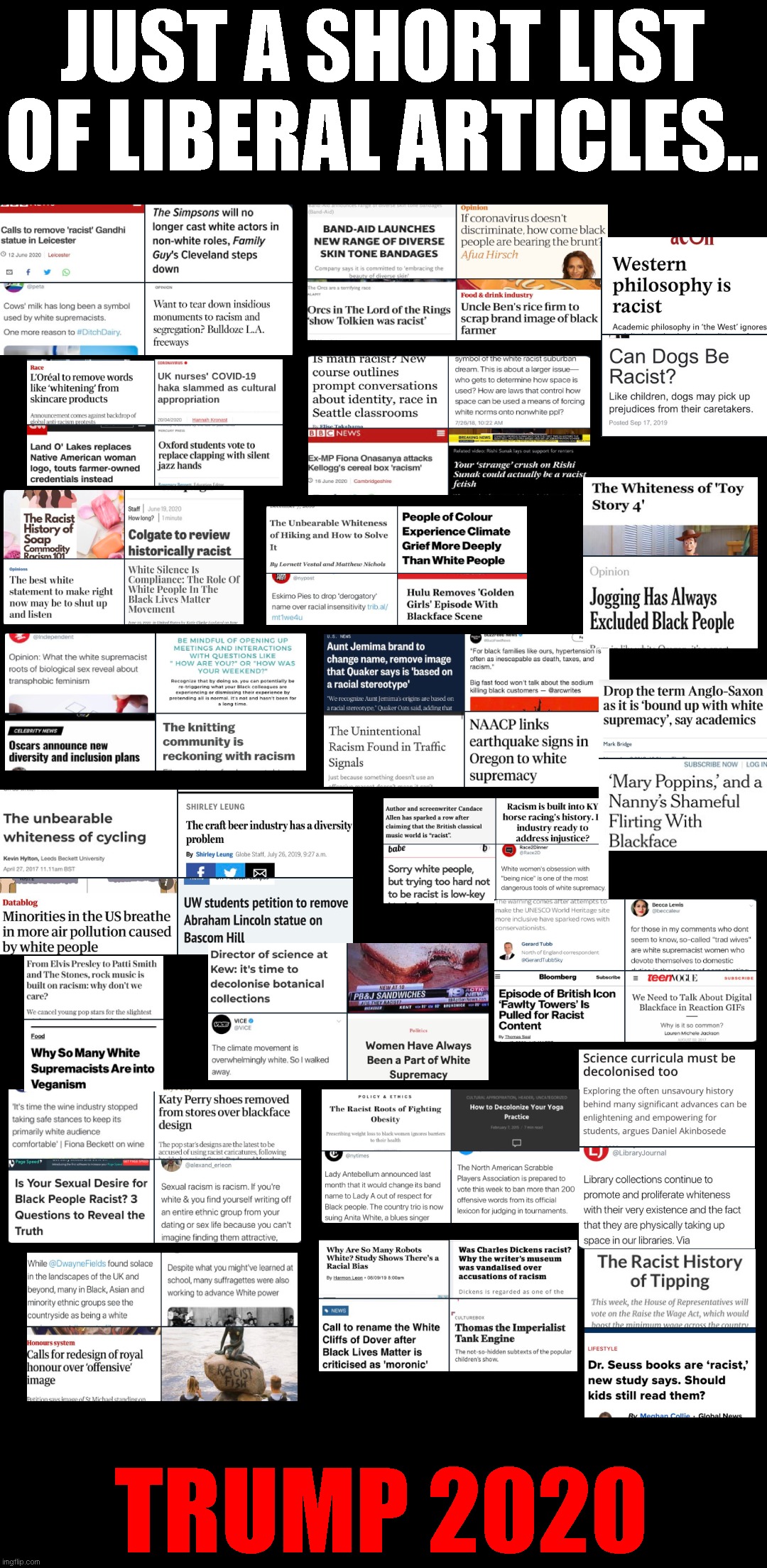 Remember in November. You're not just voting to keep your president in, you're voting to keep these people out | JUST A SHORT LIST OF LIBERAL ARTICLES.. TRUMP 2020 | image tagged in trump,liberal,democrat,biden | made w/ Imgflip meme maker