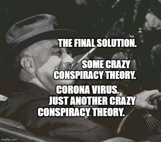 FDR MEme | THE FINAL SOLUTION.                          SOME CRAZY CONSPIRACY THEORY. CORONA VIRUS.      JUST ANOTHER CRAZY CONSPIRACY THEORY. | image tagged in fdr meme | made w/ Imgflip meme maker