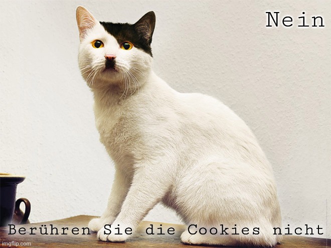 Nein; Berühren Sie die Cookies nicht | image tagged in kitler | made w/ Imgflip meme maker
