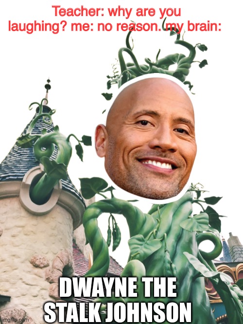 Teacher: why are you laughing? me: no reason. my brain:; DWAYNE THE STALK JOHNSON | image tagged in teacher what are you laughing at,the rock,dwayne johnson,stupid,photoshop,beans | made w/ Imgflip meme maker