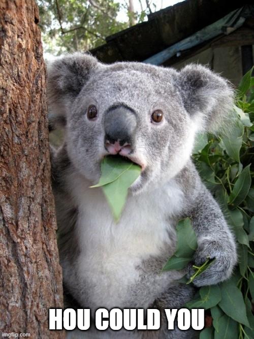 Surprised Koala Meme | HOU COULD YOU | image tagged in memes,surprised koala | made w/ Imgflip meme maker