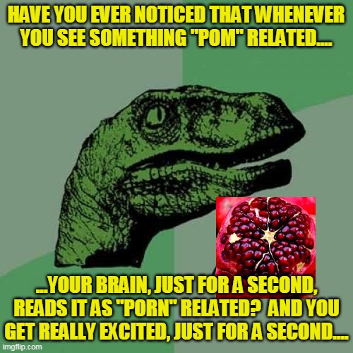 Philosoraptor Meme | HAVE YOU EVER NOTICED THAT WHENEVER YOU SEE SOMETHING "POM" RELATED.... ...YOUR BRAIN, JUST FOR A SECOND, READS IT AS "PORN" RELATED?  AND YOU GET REALLY EXCITED, JUST FOR A SECOND.... | image tagged in memes,philosoraptor | made w/ Imgflip meme maker