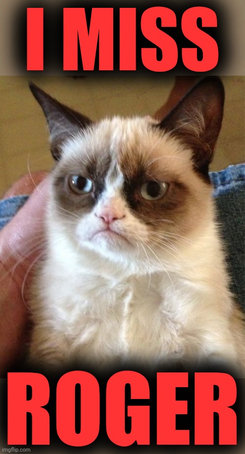 Grumpy Cat Meme | I MISS ROGER | image tagged in memes,grumpy cat | made w/ Imgflip meme maker