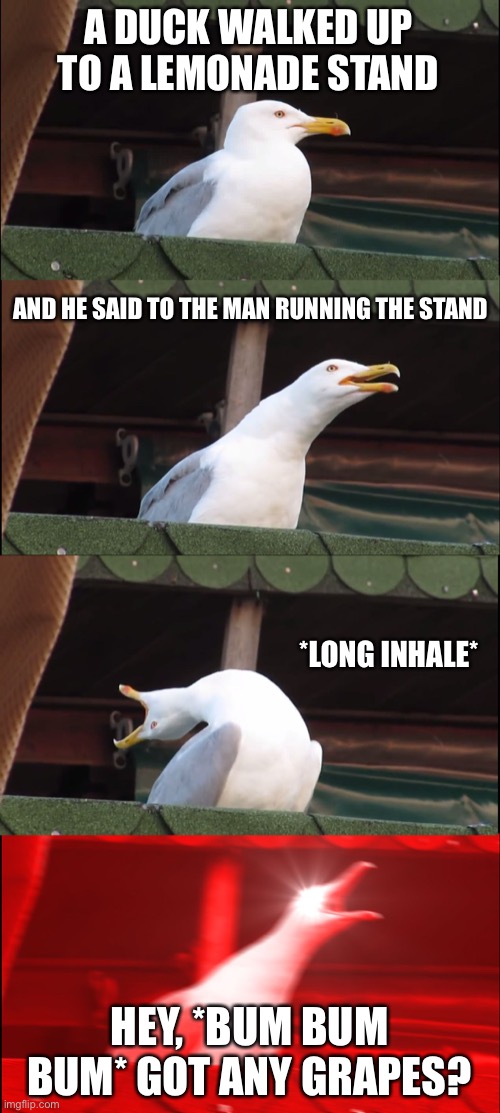 Inhaling Seagull | A DUCK WALKED UP TO A LEMONADE STAND; AND HE SAID TO THE MAN RUNNING THE STAND; *LONG INHALE*; HEY, *BUM BUM BUM* GOT ANY GRAPES? | image tagged in memes,inhaling seagull | made w/ Imgflip meme maker