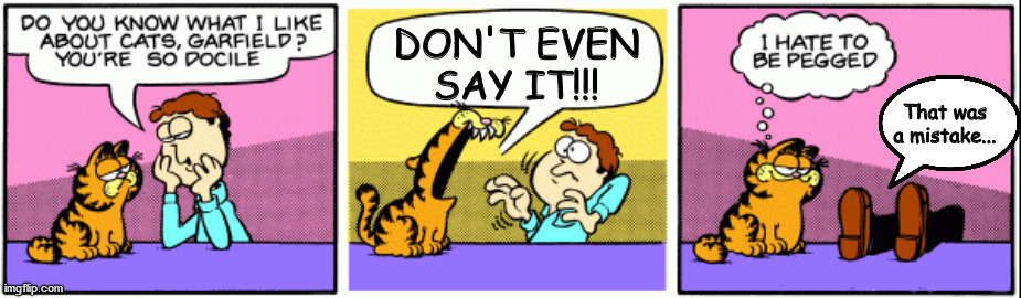 Grumpy Garfield | DON'T EVEN SAY IT!!! That was a mistake... | image tagged in garfield,jon,angry cat | made w/ Imgflip meme maker