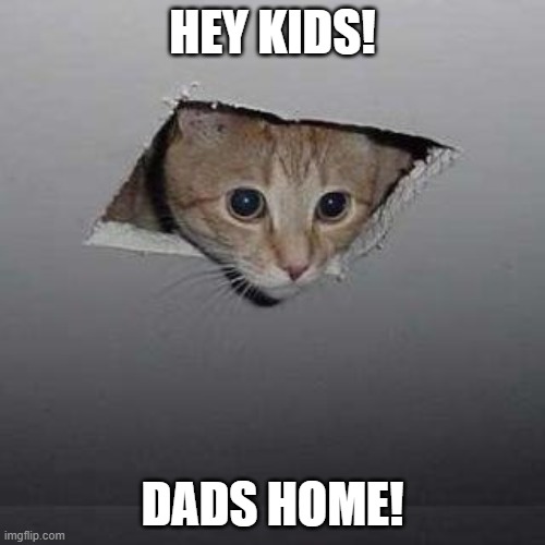 Ceiling Cat | HEY KIDS! DADS HOME! | image tagged in memes,ceiling cat | made w/ Imgflip meme maker