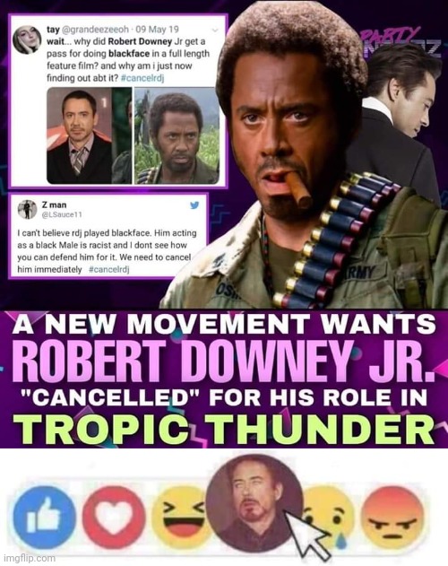 Canceled | image tagged in face you make robert downey jr,robert downey jr,cancelled,cancel culture | made w/ Imgflip meme maker