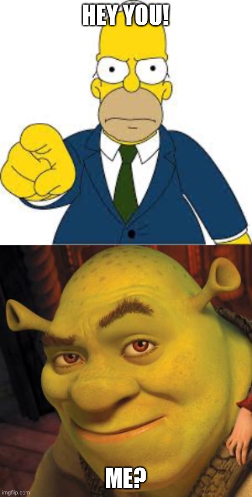 HEY YOU! ME? | image tagged in shrek sexy face,hey you | made w/ Imgflip meme maker
