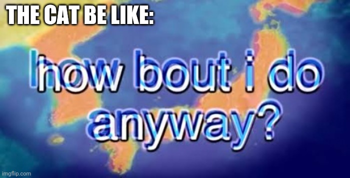 How bout i do anyway | THE CAT BE LIKE: | image tagged in how bout i do anyway | made w/ Imgflip meme maker