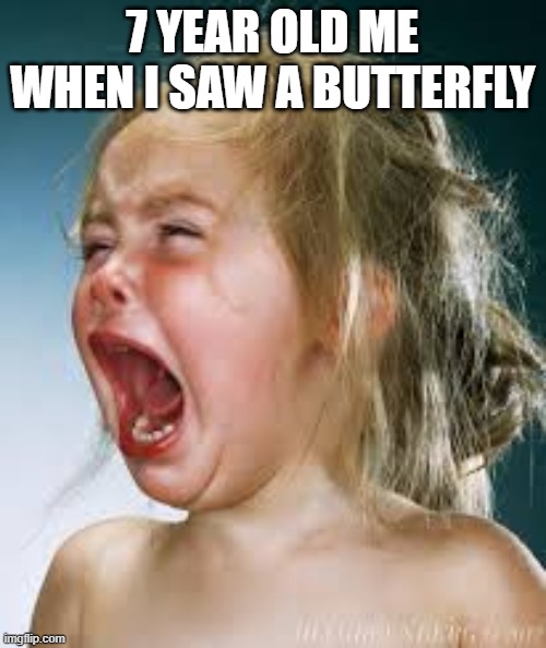 Screaming kid | 7 YEAR OLD ME WHEN I SAW A BUTTERFLY | image tagged in screaming kid | made w/ Imgflip meme maker