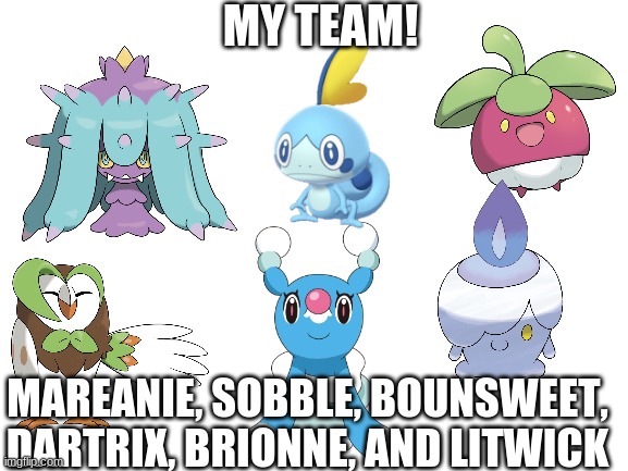 Blank White Template | MY TEAM! MAREANIE, SOBBLE, BOUNSWEET, DARTRIX, BRIONNE, AND LITWICK | image tagged in blank white template | made w/ Imgflip meme maker