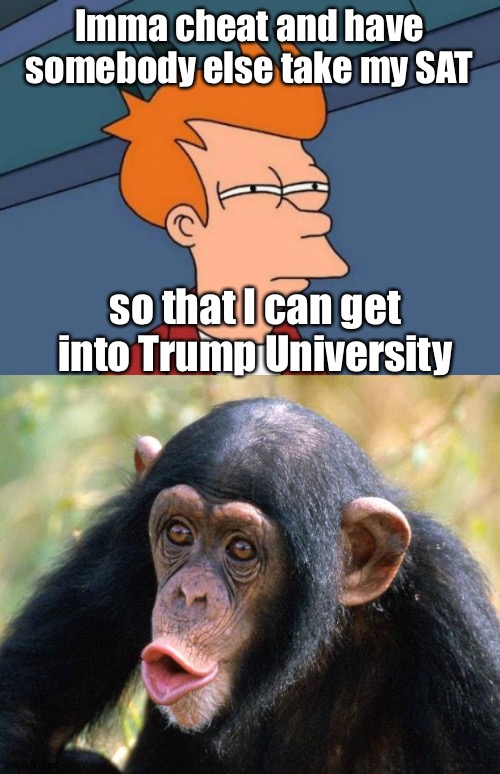 I think Bonzo can handle this | Imma cheat and have somebody else take my SAT; so that I can get into Trump University | image tagged in memes,futurama fry,chimpanzee | made w/ Imgflip meme maker