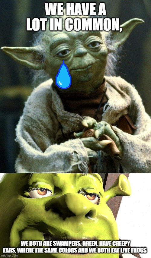 WE HAVE A LOT IN COMMON, WE BOTH ARE SWAMPERS, GREEN, HAVE CREEPY EARS, WHERE THE SAME COLORS AND WE BOTH EAT LIVE FROGS | image tagged in memes,star wars yoda,yoda,shrek,comparison,funny | made w/ Imgflip meme maker