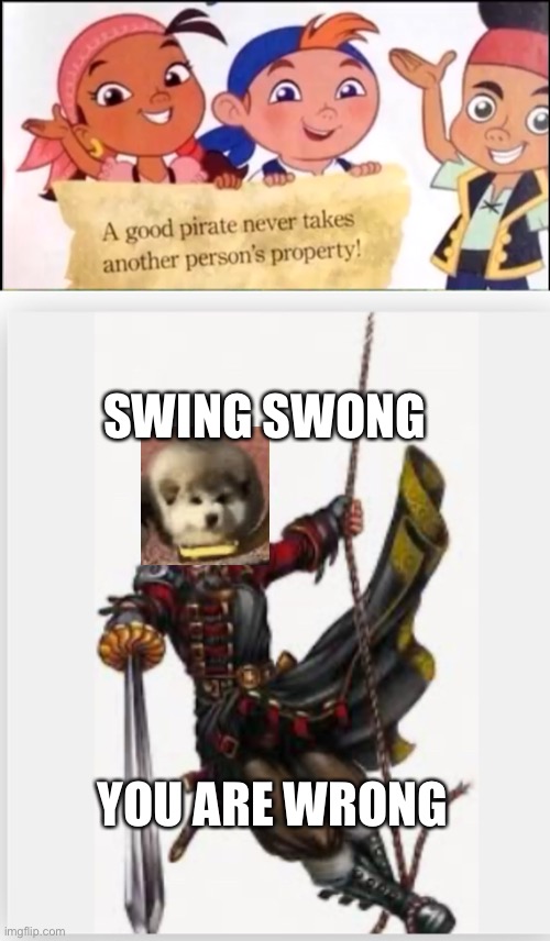 SWING SWONG; YOU ARE WRONG | image tagged in a good pirate | made w/ Imgflip meme maker