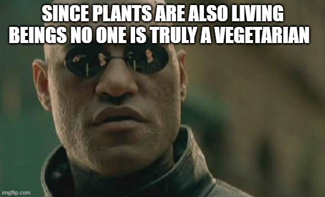 it is true | SINCE PLANTS ARE ALSO LIVING BEINGS NO ONE IS TRULY A VEGETARIAN | image tagged in memes,matrix morpheus | made w/ Imgflip meme maker