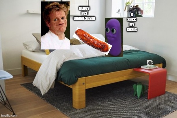 no no sosig | K SUCC MY SOSIG; BENOS PLS GIMME SOSIG | image tagged in no nut november,beanos,sosig | made w/ Imgflip meme maker