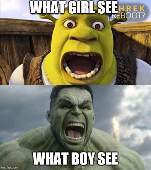 WHAT GIRL SEE; WHAT BOY SEE | image tagged in what you see vs what she sees | made w/ Imgflip meme maker