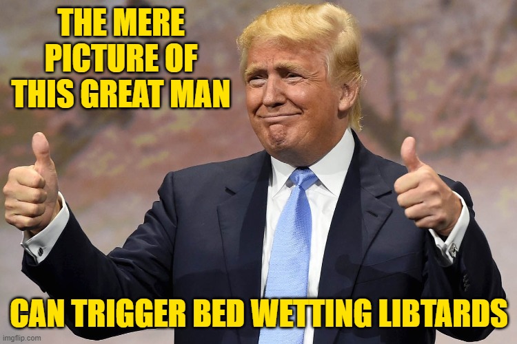 The real power Trump has over Leftists is truly awesome. | THE MERE PICTURE OF THIS GREAT MAN; CAN TRIGGER BED WETTING LIBTARDS | image tagged in donald trump winning,libtards,liberals,election 2020 | made w/ Imgflip meme maker