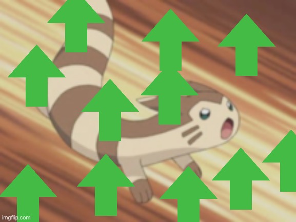 Angry Furret | image tagged in angry furret | made w/ Imgflip meme maker