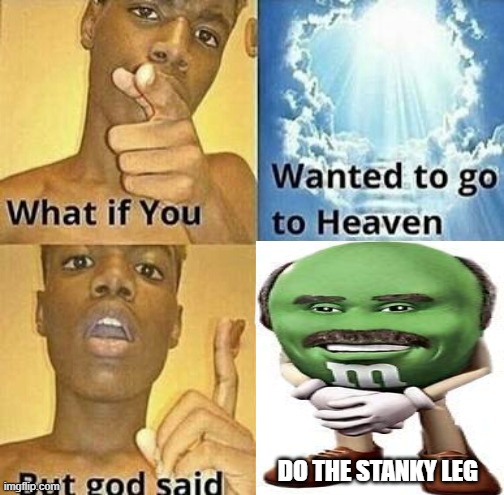 stanky leg | DO THE STANKY LEG | image tagged in what if you wanted to go to heaven | made w/ Imgflip meme maker