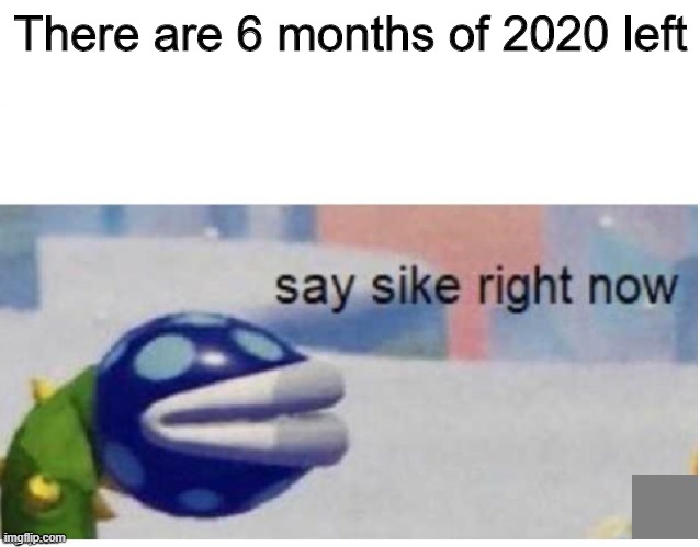 2020 be like.. | There are 6 months of 2020 left | image tagged in say sike right now,memes,fun | made w/ Imgflip meme maker