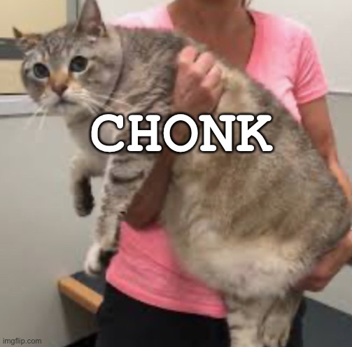 CHONK | made w/ Imgflip meme maker