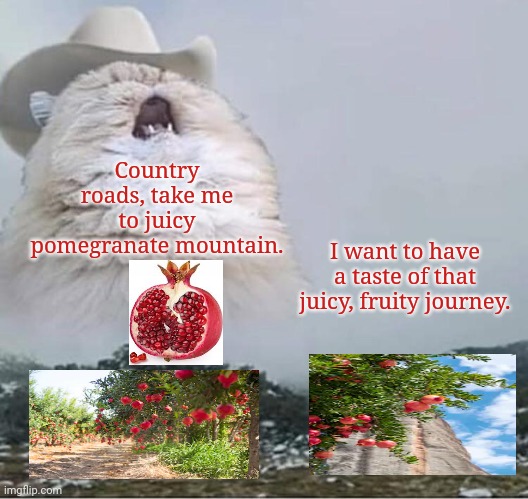 Juicy pomegranate mountain | Country roads, take me to juicy pomegranate mountain. I want to have a taste of that juicy, fruity journey. | image tagged in country roads cat,memes,meme,fruit,fruits,mountain | made w/ Imgflip meme maker