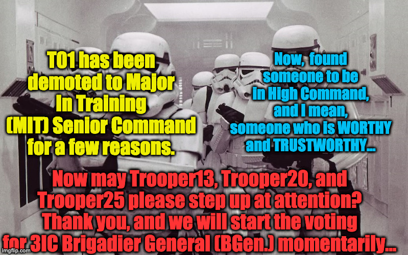 Voting Begins. | Now,  found someone to be in High Command, and I mean, someone who is WORTHY and TRUSTWORTHY... T01 has been demoted to Major In Training (MIT) Senior Command for a few reasons. Now may Trooper13, Trooper20, and Trooper25 please step up at attention? Thank you, and we will start the voting for 3IC Brigadier General (BGen.) momentarily... | image tagged in storm troopers set your blaster | made w/ Imgflip meme maker