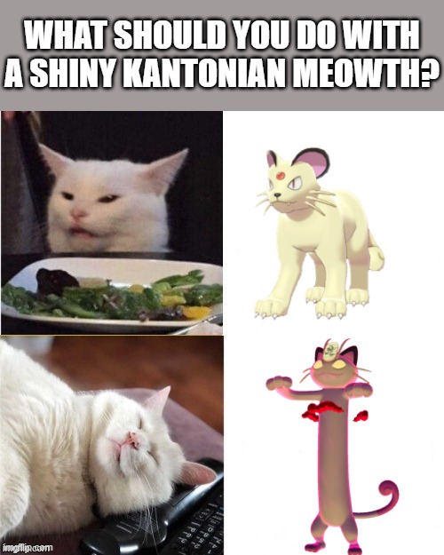 Smudge Drake meme | WHAT SHOULD YOU DO WITH A SHINY KANTONIAN MEOWTH? | image tagged in smudge drake meme | made w/ Imgflip meme maker
