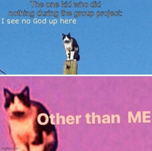 True right | The one kid who did nothing during the group project: | image tagged in hail pole cat | made w/ Imgflip meme maker