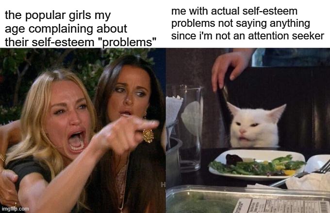 Woman Yelling At Cat | the popular girls my age complaining about their self-esteem "problems"; me with actual self-esteem problems not saying anything since i'm not an attention seeker | image tagged in memes,woman yelling at cat | made w/ Imgflip meme maker