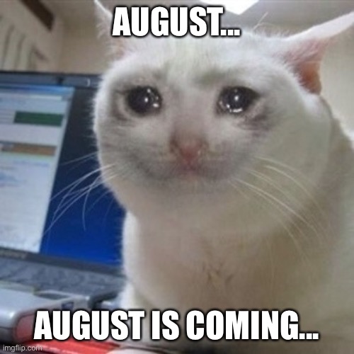 Crying cat | AUGUST... AUGUST IS COMING... | image tagged in crying cat | made w/ Imgflip meme maker