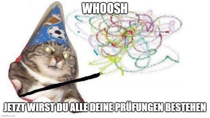 Wizard Cat | WHOOSH; JETZT WIRST DU ALLE DEINE PRÜFUNGEN BESTEHEN | image tagged in wizard cat | made w/ Imgflip meme maker
