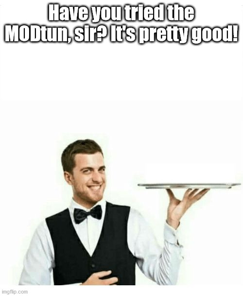 waiter | Have you tried the MODtun, sir? It's pretty good! | image tagged in waiter | made w/ Imgflip meme maker