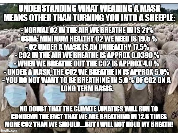 politics | NO DOUBT THAT THE CLIMATE LUNATICS WILL RUN TO CONDEMN THE FACT THAT WE ARE BREATHING IN 12.5 TIMES MORE CO2 THAN WE SHOULD....BUT I WILL NOT HOLD MY BREATH! | image tagged in political meme,ConservativeMemes | made w/ Imgflip meme maker