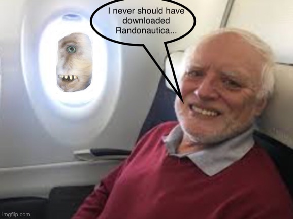 Hide The Pain At 30,000 Feet | image tagged in randonautica,hide the pain harold,creatures | made w/ Imgflip meme maker