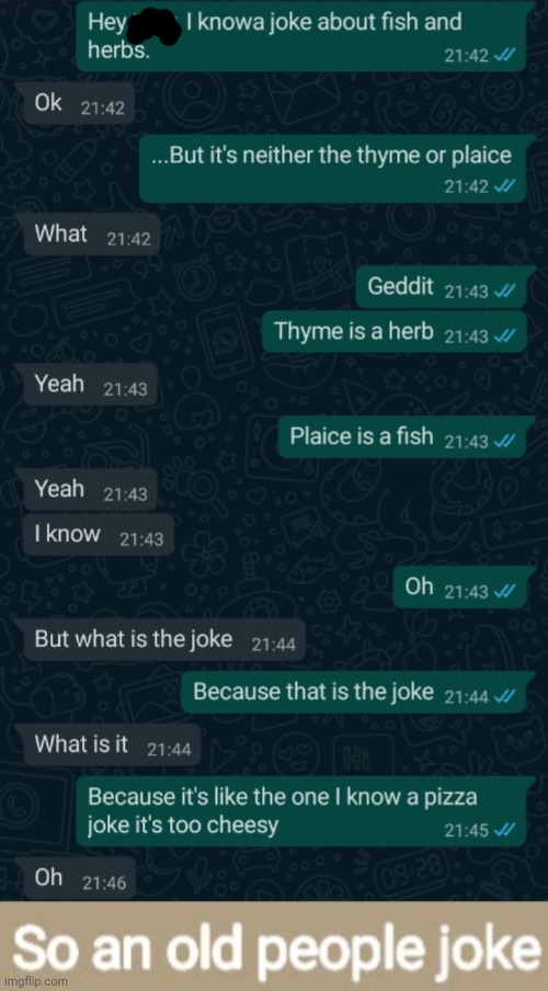 Wow | image tagged in old people joke,thyme,plaice,weird | made w/ Imgflip meme maker