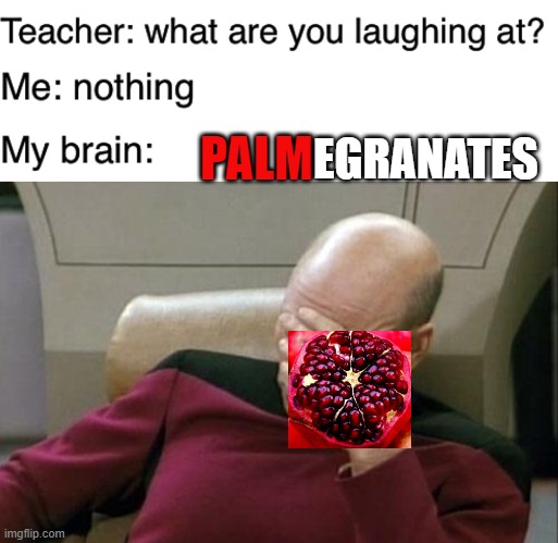 Play on words | EGRANATES; PALM | image tagged in memes,captain picard facepalm,teacher what are you laughing at,pomegranates,funny | made w/ Imgflip meme maker