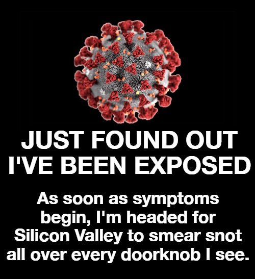 Just found out I've been exposed to COVID-19 | JUST FOUND OUT I'VE BEEN EXPOSED; As soon as symptoms begin, I'm headed for Silicon Valley to smear snot all over every doorknob I see. | image tagged in biological warfare,payback,paybacks are a beeotch,covid 19,coronavirus,boogers | made w/ Imgflip meme maker