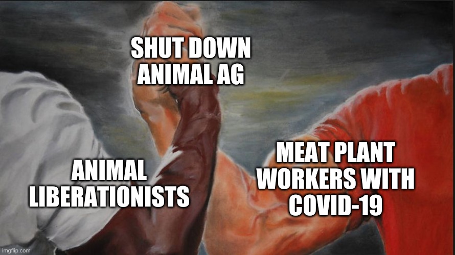 Animal Liberationists and Meat Plant Workers United against Animal Ag | SHUT DOWN
ANIMAL AG; MEAT PLANT
WORKERS WITH
COVID-19; ANIMAL
LIBERATIONISTS | image tagged in black white arms | made w/ Imgflip meme maker