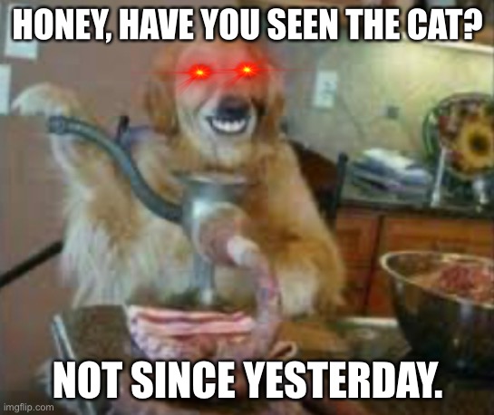 my morbid sense of humor | HONEY, HAVE YOU SEEN THE CAT? NOT SINCE YESTERDAY. | image tagged in have you seen the cat lately | made w/ Imgflip meme maker