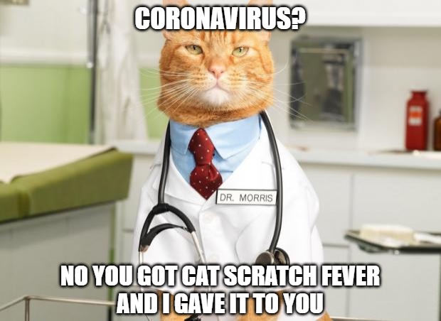 How did my tests go | CORONAVIRUS? NO YOU GOT CAT SCRATCH FEVER
AND I GAVE IT TO YOU | image tagged in cats,doctors,memes,fun,funny,funny memes | made w/ Imgflip meme maker